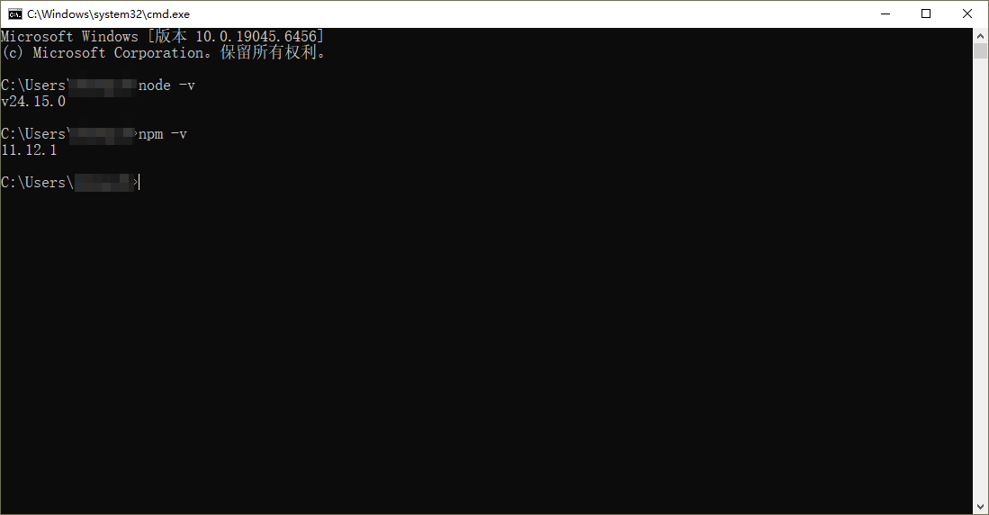 验证 Node.js 安装